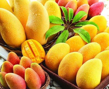 芒果大家都會吃 可芒果餡料怎么吃呢